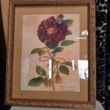The Tuscan rose vintage illustration