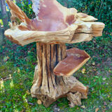 Teak root standing sink