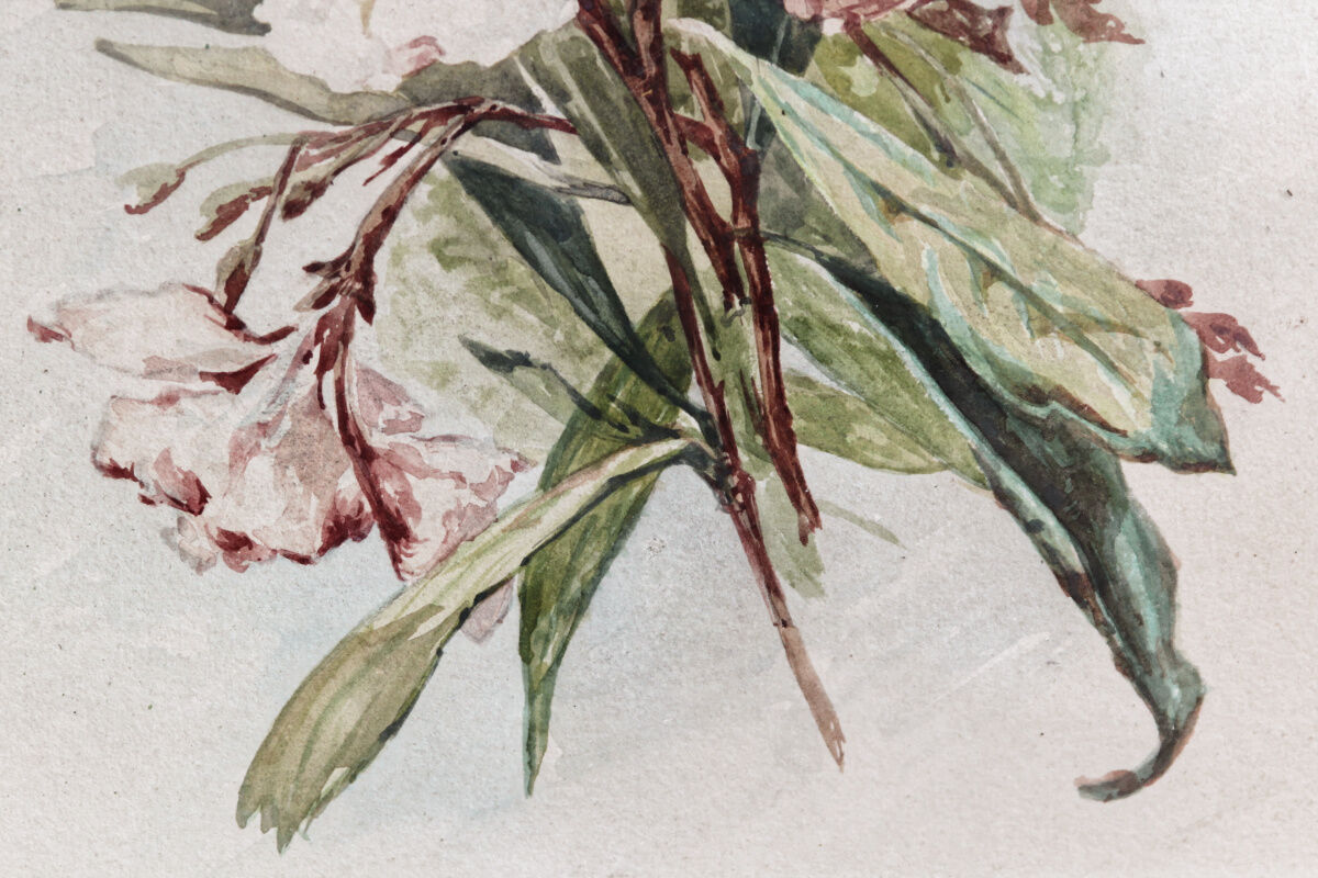 Watercolor with lisera