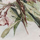 Watercolor with lisera