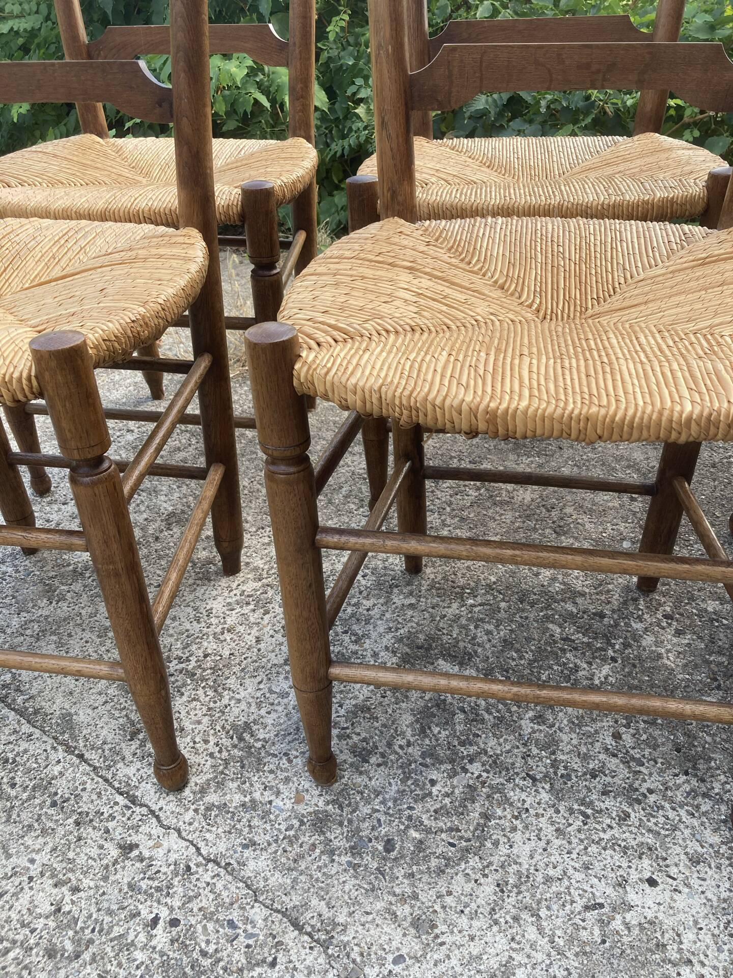 6 oak chairs