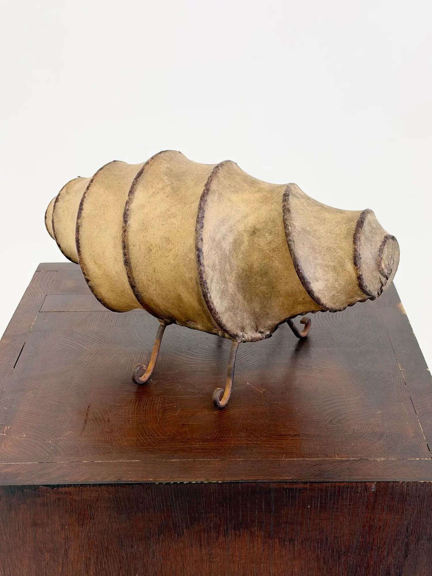 Vintage rawhide swirl table lamp with organic design