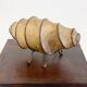 Vintage rawhide swirl table lamp with organic design