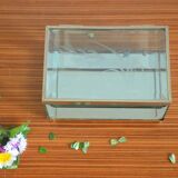 Glass and mirror jewellery box