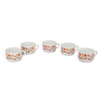 Coffee cups arcopal glassware vintage scania model