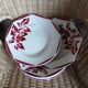 6 antique soup plates from Digoin and Sarreguemines