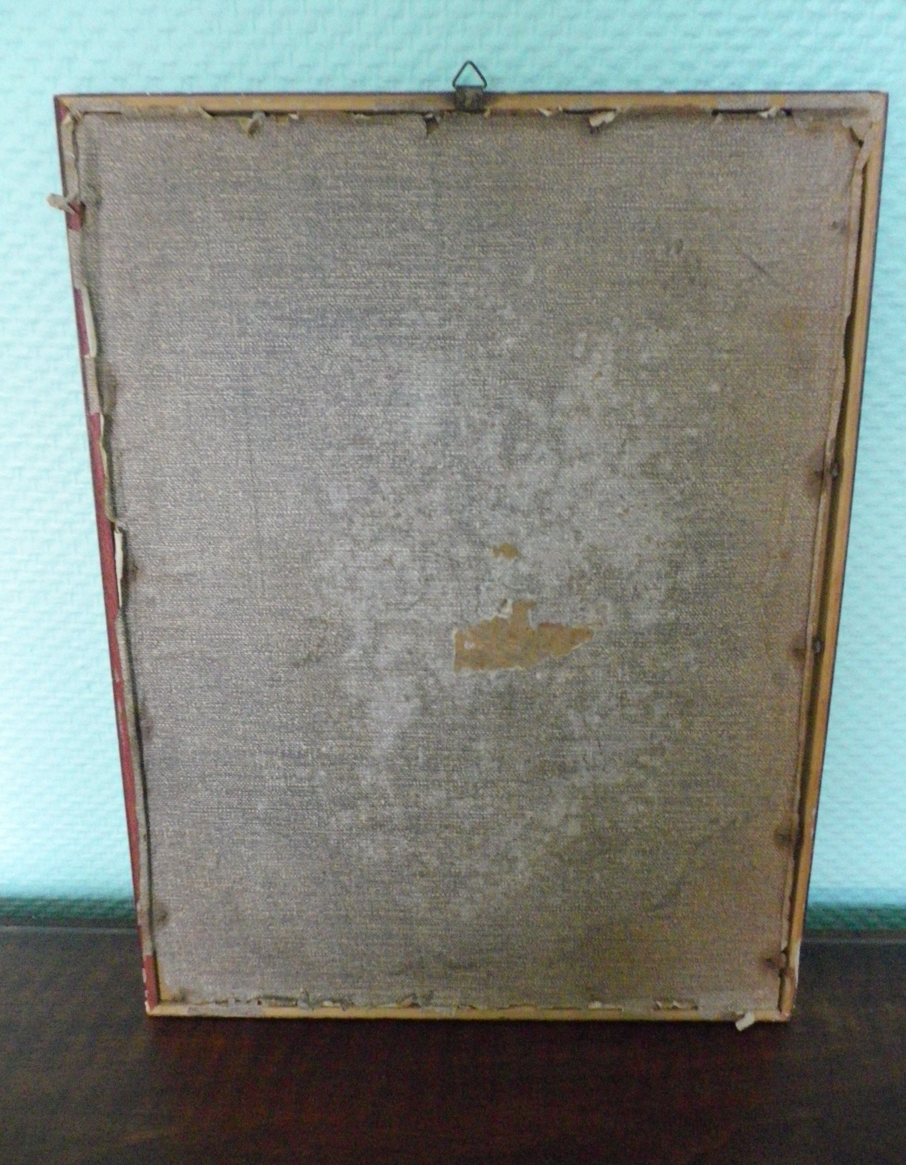 Printed "trogon temnurus" by J- E. Gould 1804-1881 printed by c.hullmandel (1789/1850)