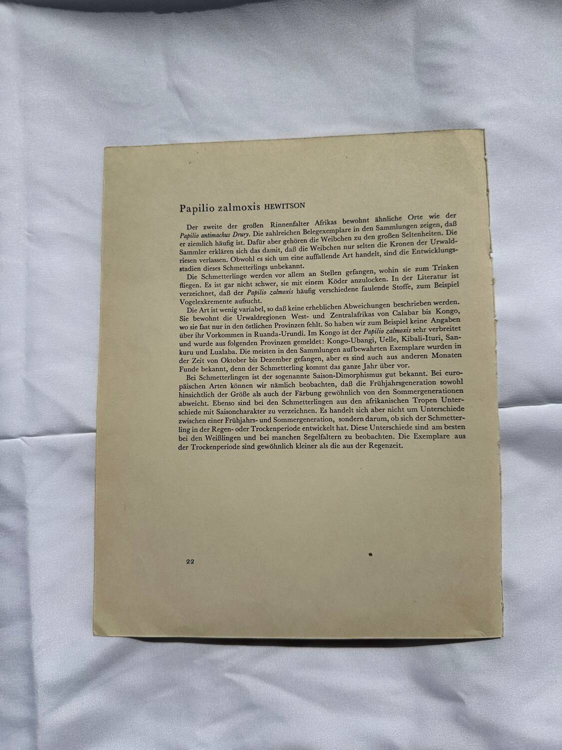 Gravure ancienne papillon 1900 planche botanique naturaliste