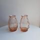 Vases roses