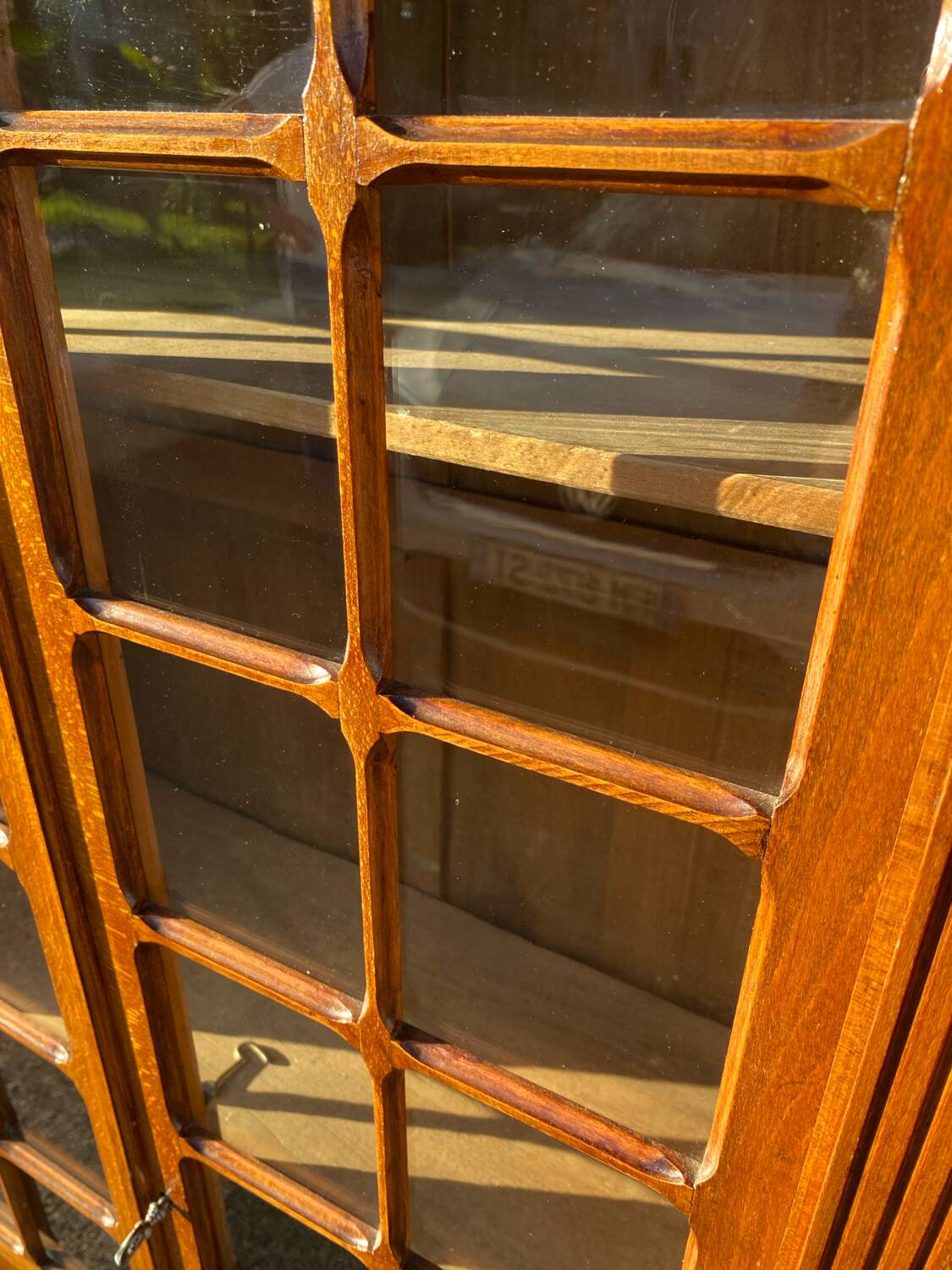 Display case: 2-door bookcase