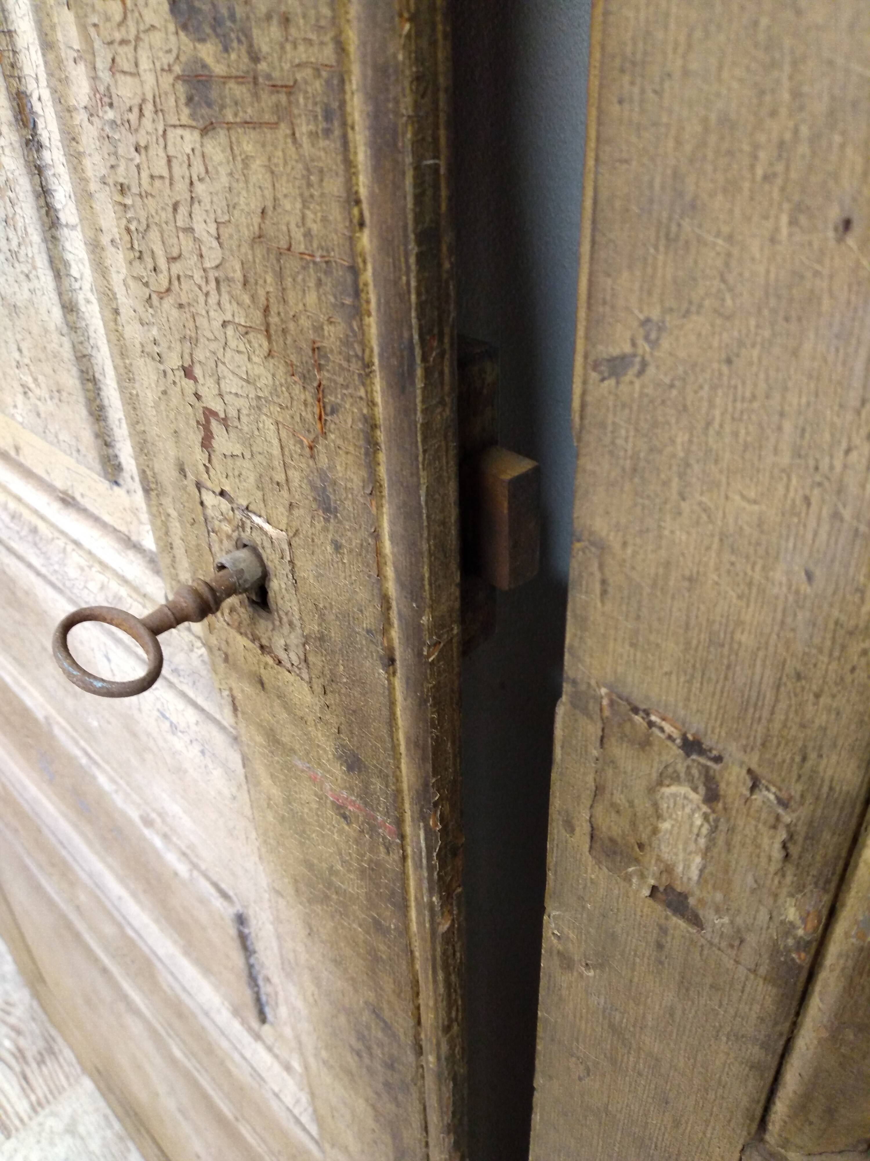 Antique closet doors