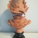 Bust signed D. Van Den Bossche in terracotta