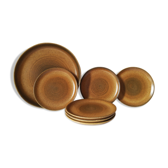 Dish and its 6 ceramic plates