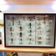 Entomology box showcase of dragonfly insects