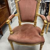 Set of 2 armchairs & 4 velvet chairs
