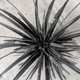 Coffee table with ears of wheat, "Coco Chanel" by Goossens, Circa 1970