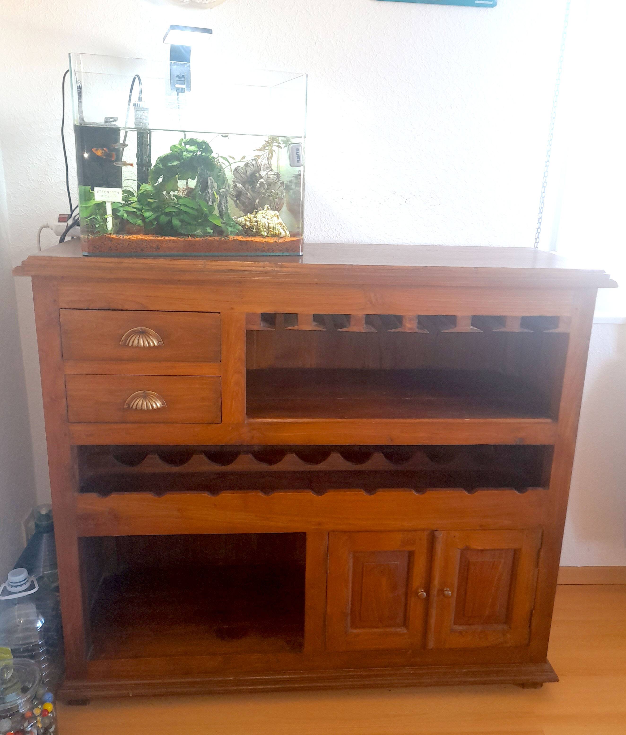 Exotic Ethnic wooden bar cabinet - Bistro counter - Drawer units