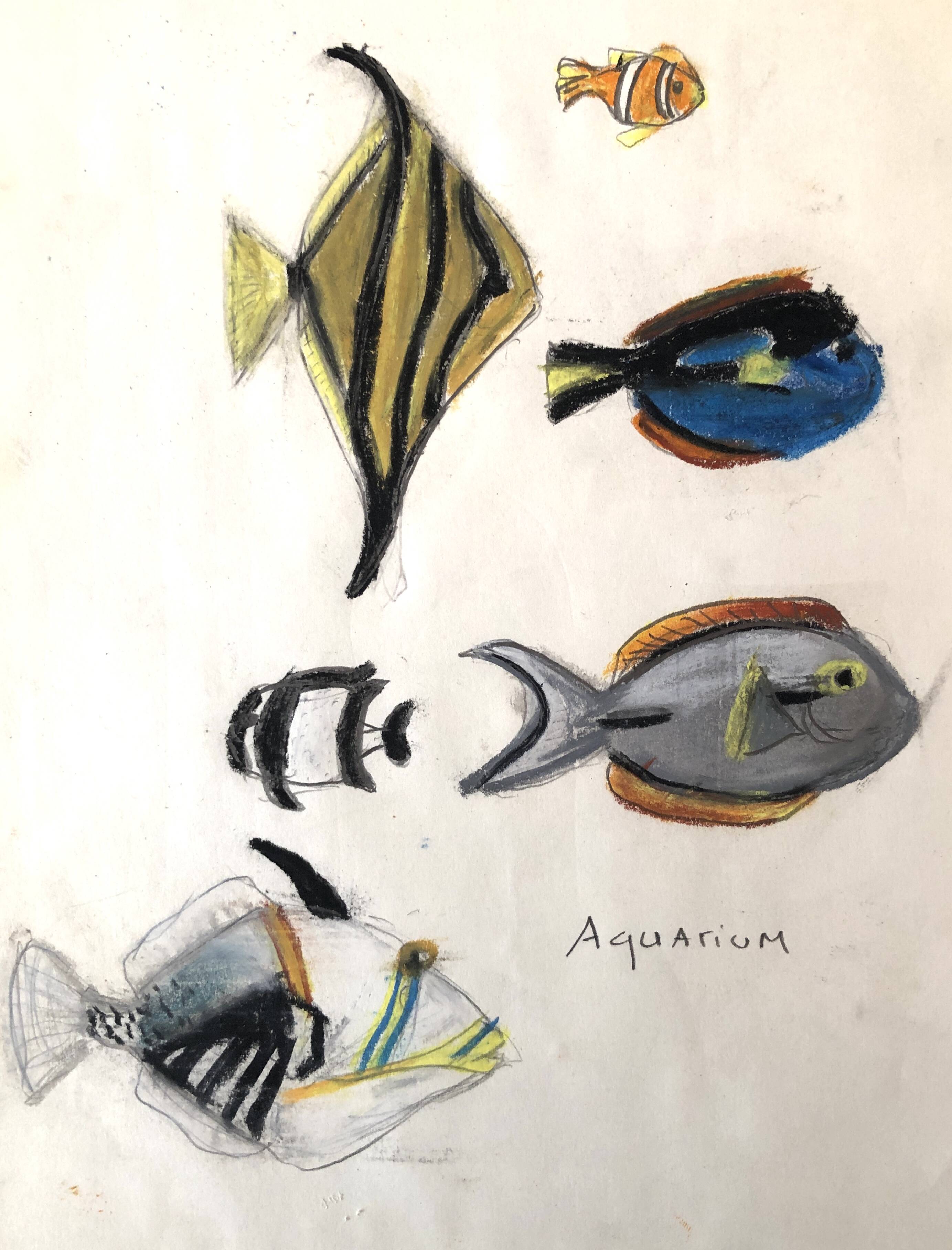 Fish Illustration