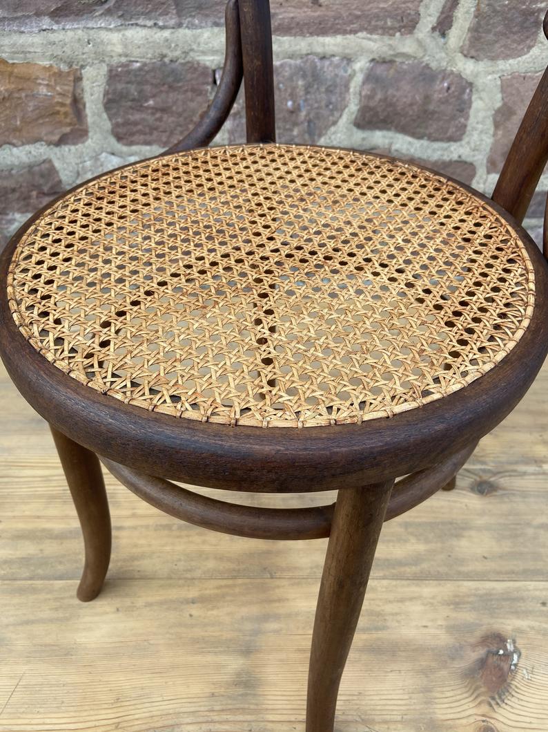 Tuna and curved wooden bistro chair