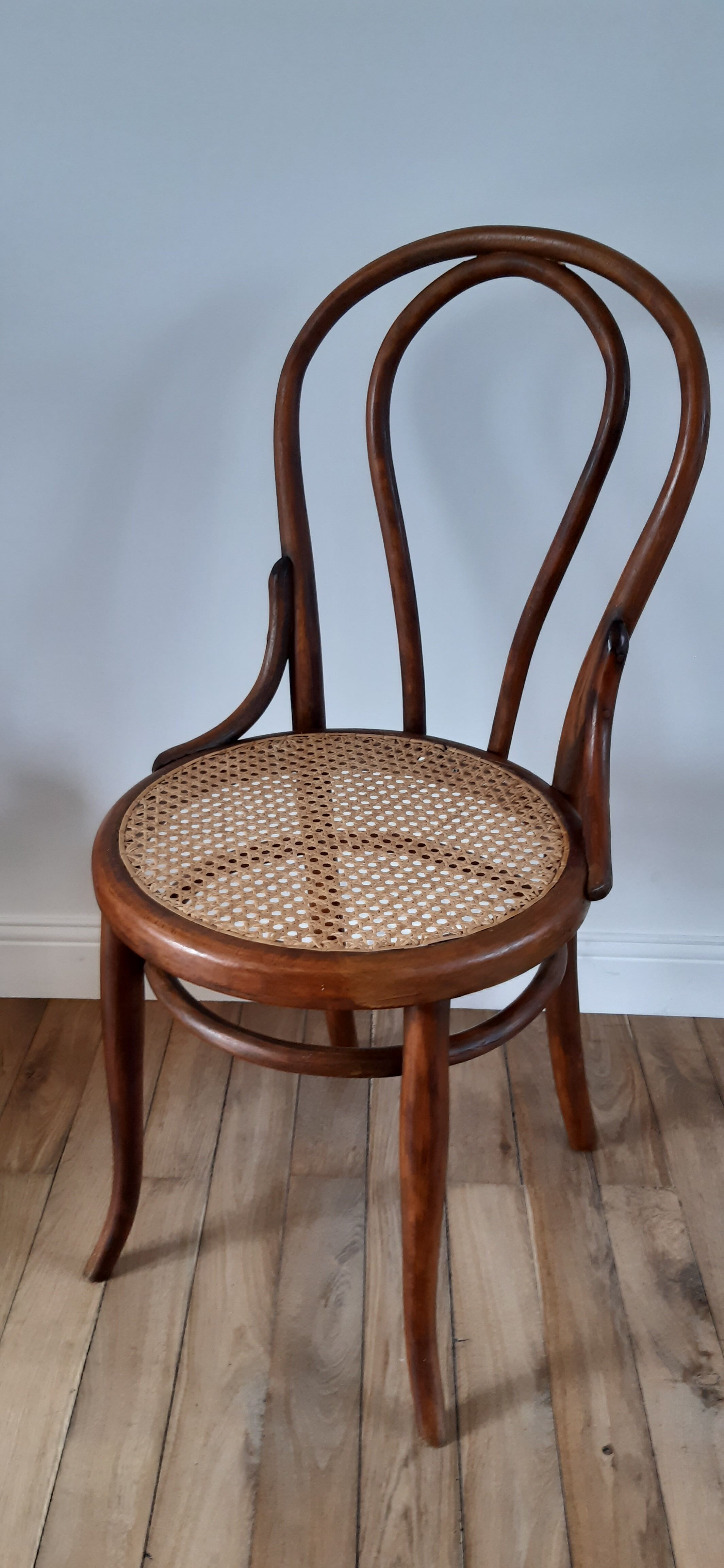 Chair in bentwood and canning XIXth