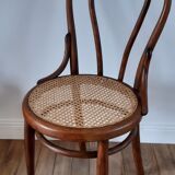 Chair in bentwood and canning XIXth