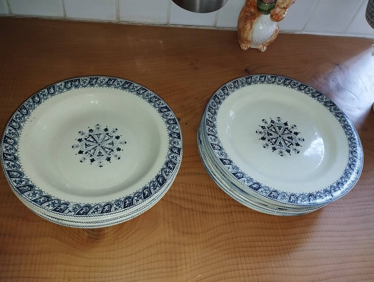 Vintage Salins "Henri II" Service – 8 Dinner Plates & 5 Soup Plates