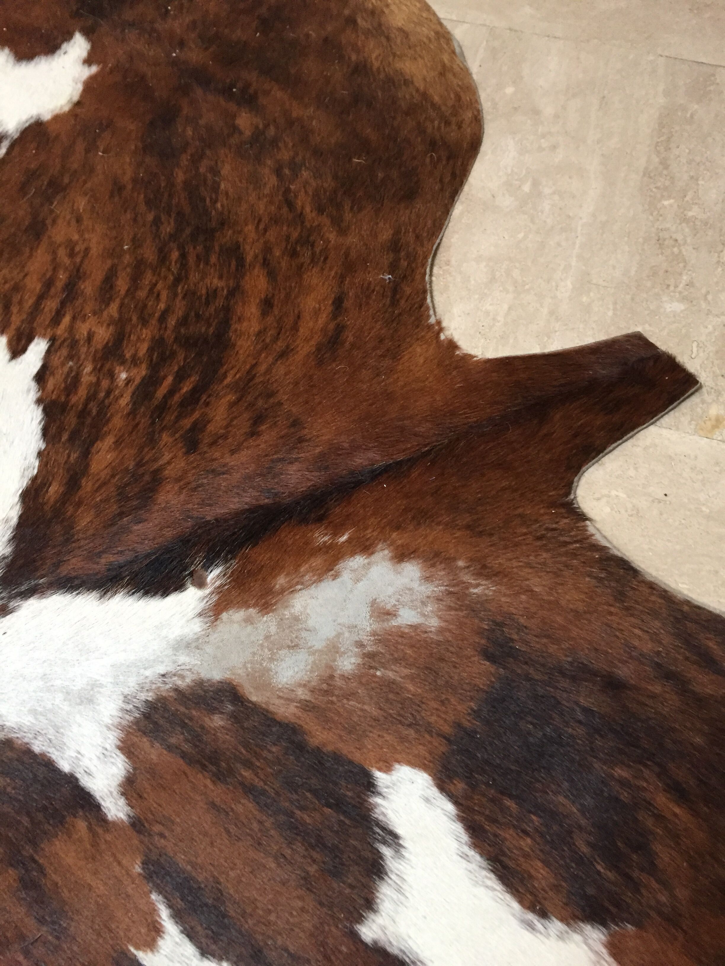 XxL vintage cow skin rug 1970