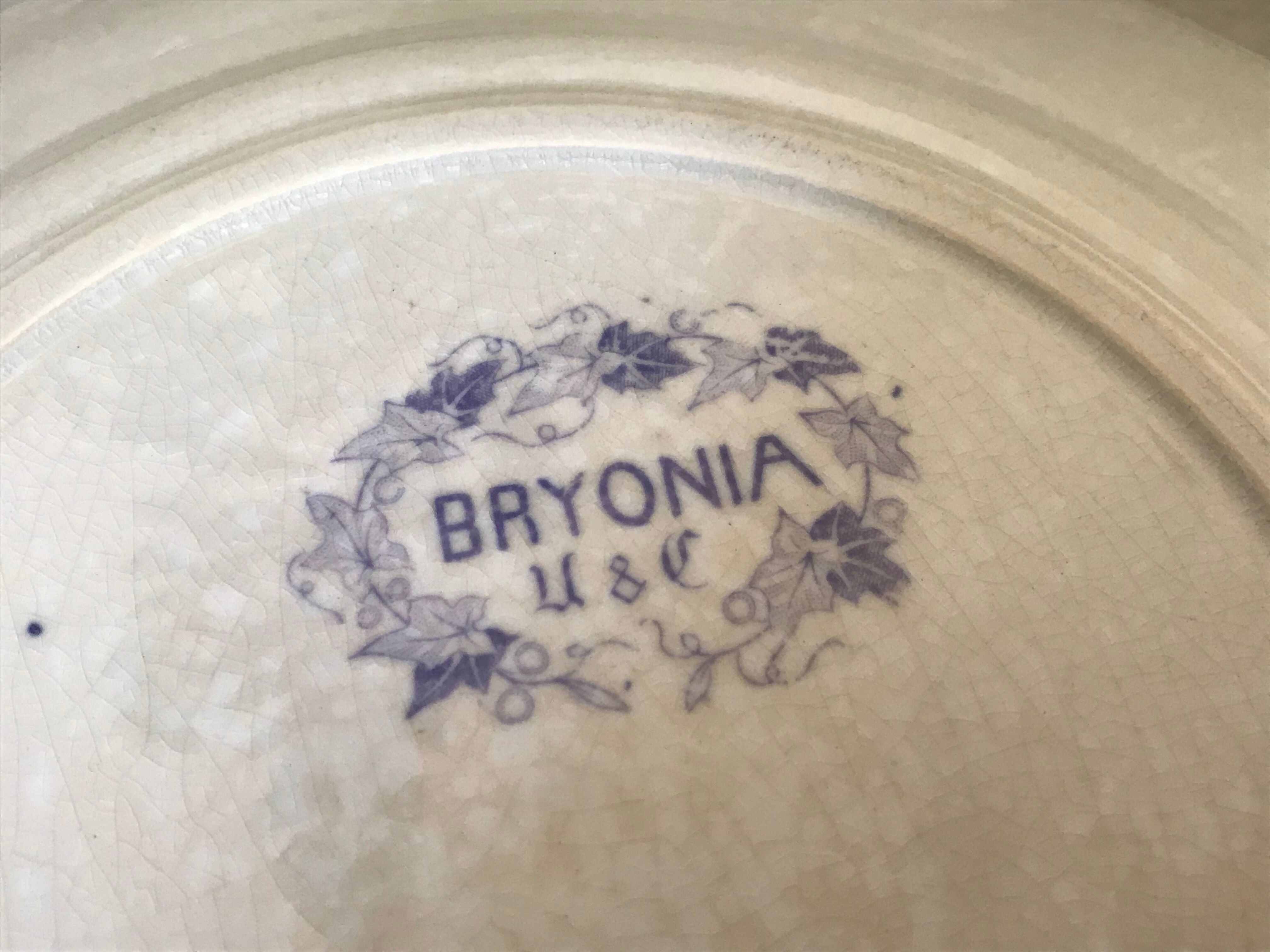 Lot de 10 assiettes Sarreguemines
