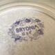 Lot de 10 assiettes Sarreguemines