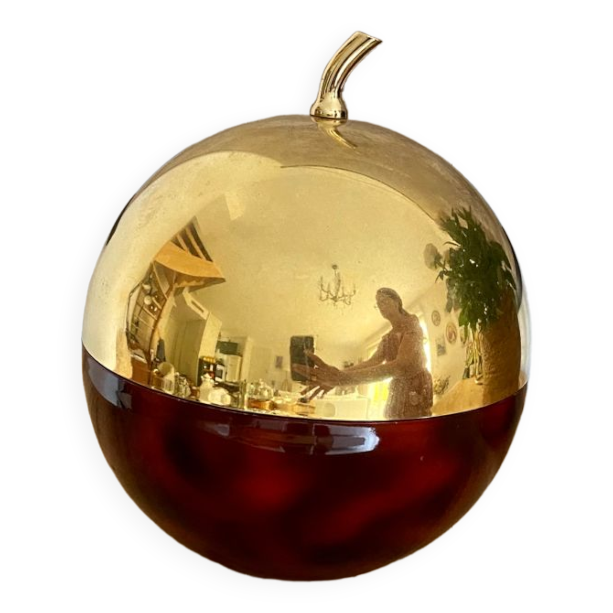 Vintage ice cube apple