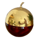 Vintage ice cube apple