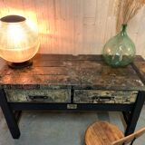 Ancient beech and oak establishment