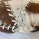 Goatskin floor cushion 1970