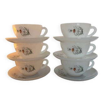 6 tasses et 6 sous tasses marguerite vintage ARCOPAL