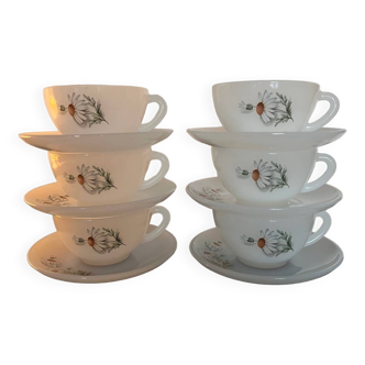 6 vintage daisy cups and 6 saucers ARCOPAL