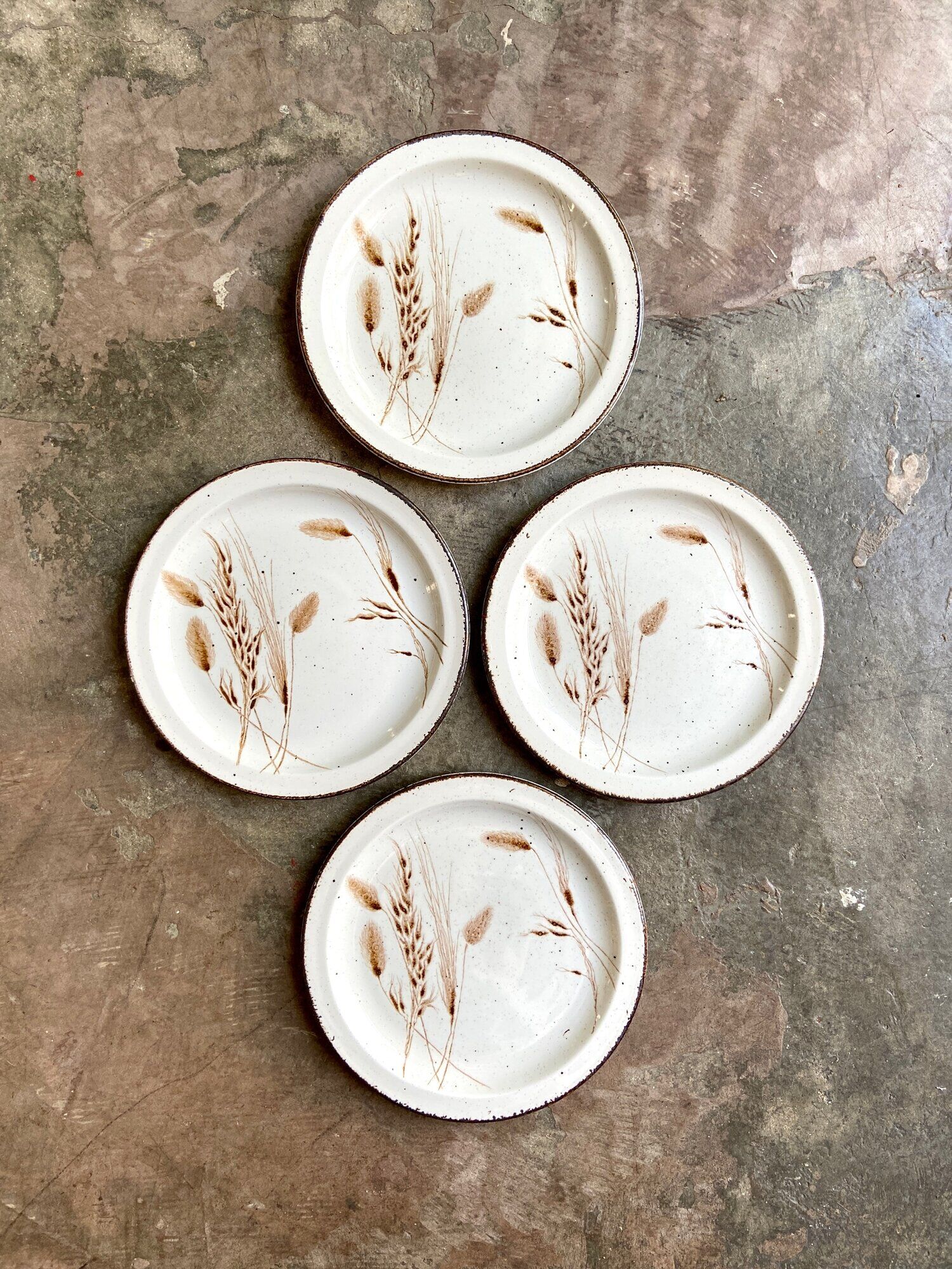 4 flat plates Midwinter in glazed stoneware, service "Wild oats"