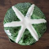 Souptureen and dish in cabbage slip