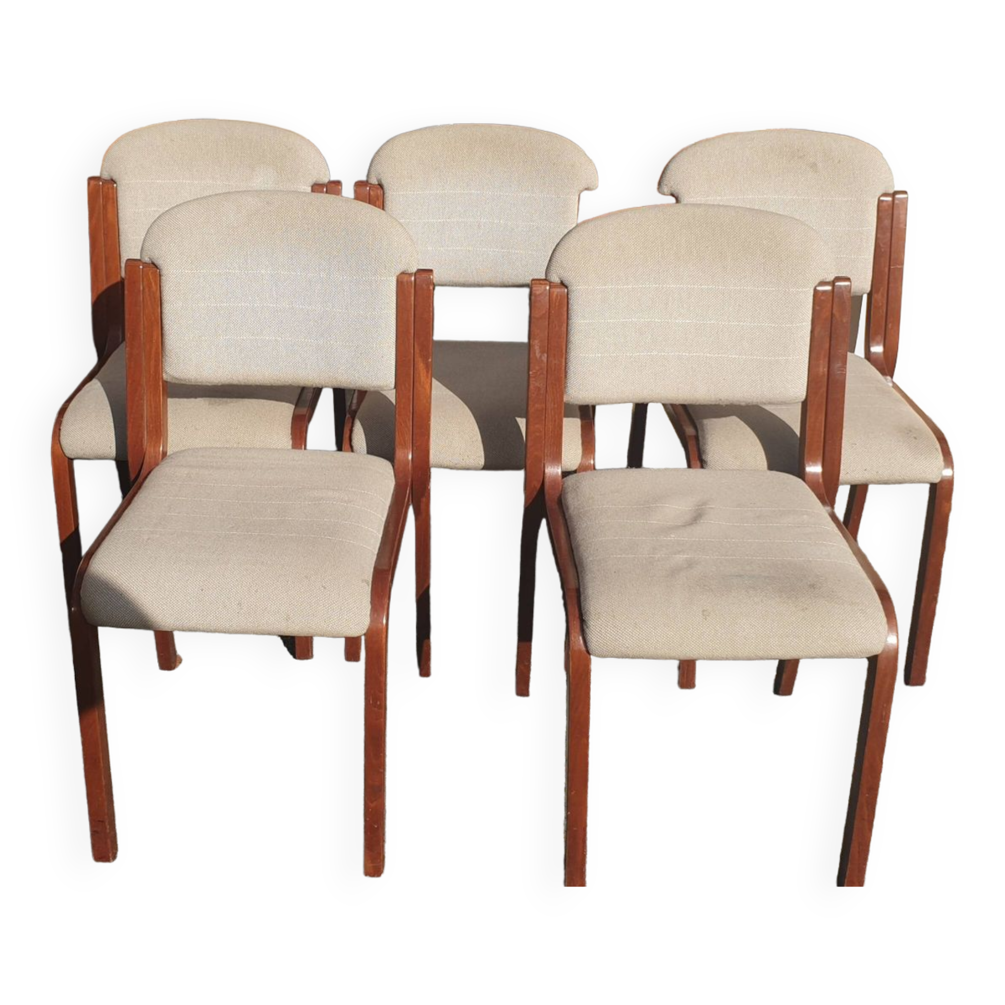 5 contemporary design chairs in curly wool