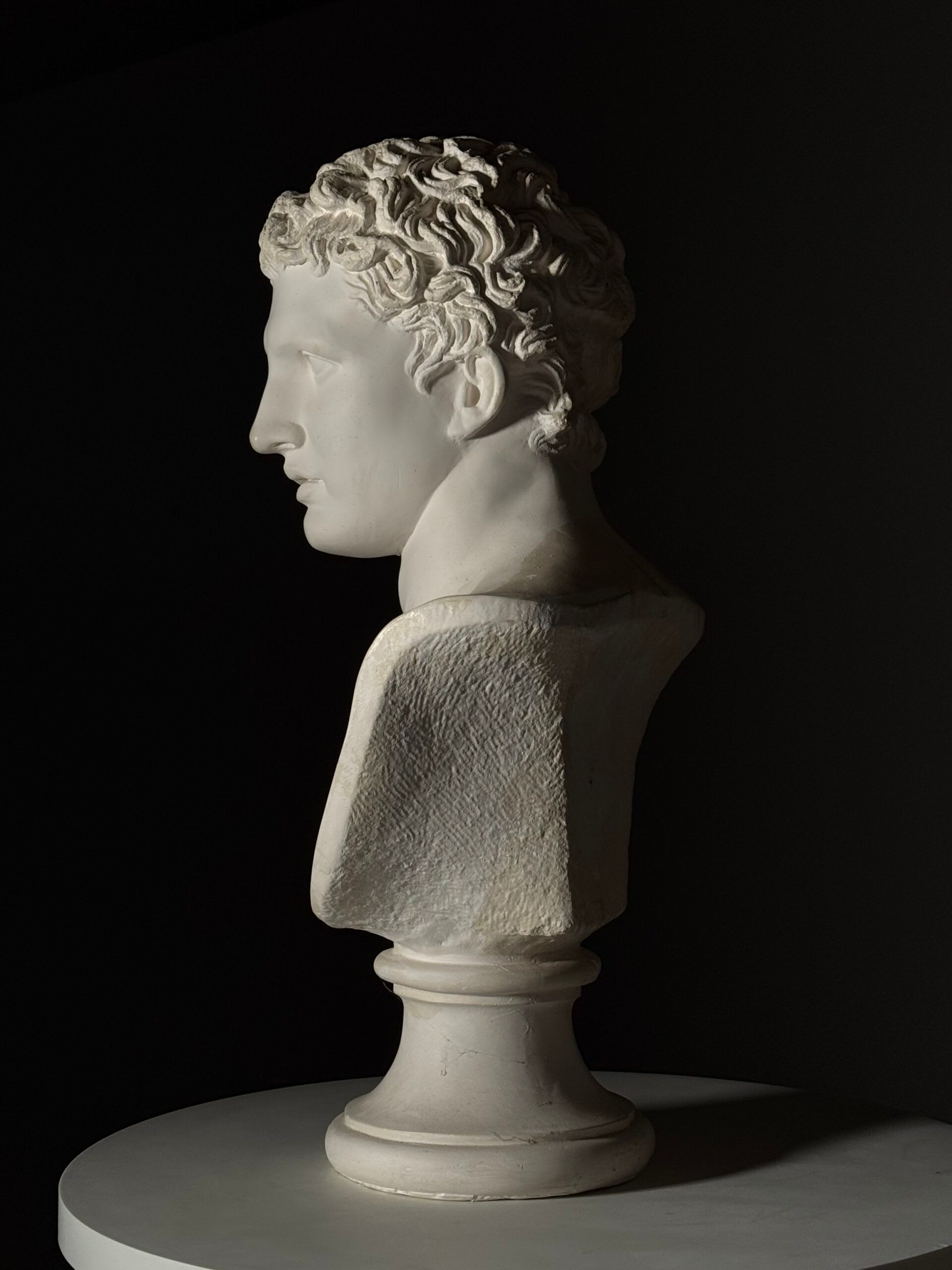 Bust of Meleager plaster classic