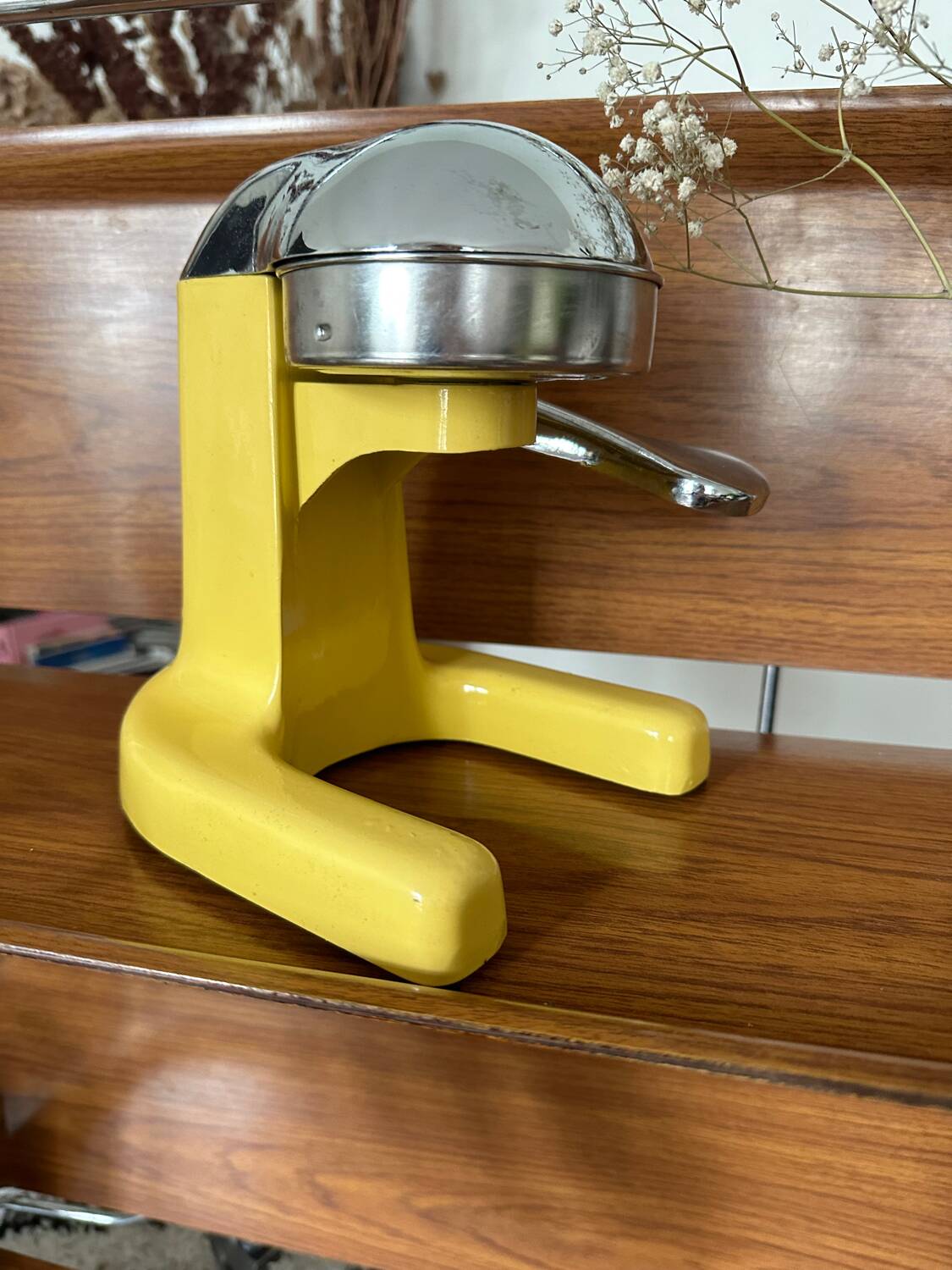 Vintage manual citrus press