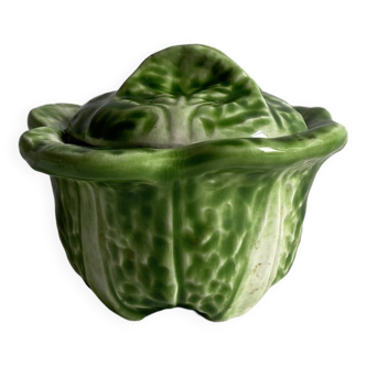Small pot of cabbage leaf slip