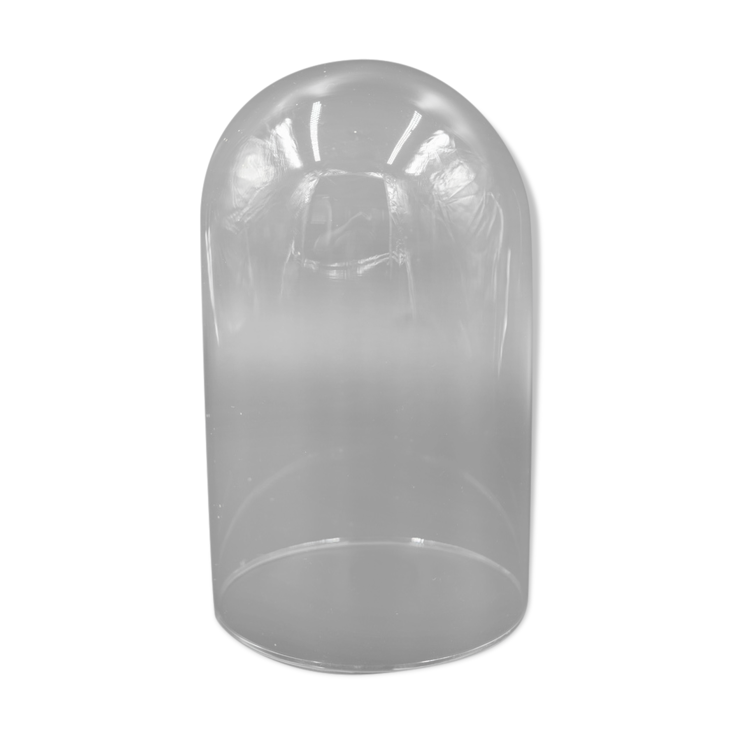 Glass bell globe for decoration cabinet of curiosity