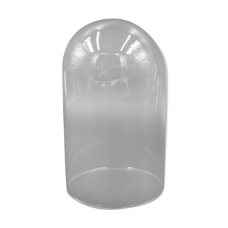 Globe cloche en verre pour décoration cabinet de curiosité