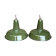 Pair of enameled sheet metal suspension lamp industrial shop green plant