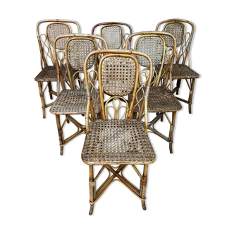 Canned rattan chairs house drucker