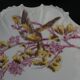 6 Limoges porcelain dessert plates 1900 - Bird decor
