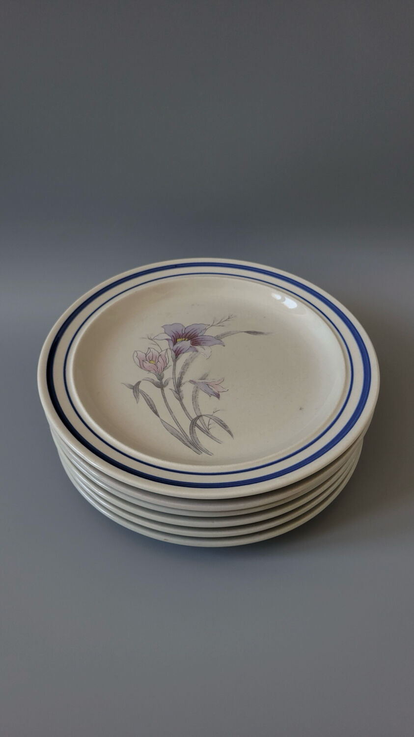 Set of 6 dessert plates