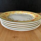 Set of 5 dessert plates