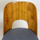 Dining Chairs by Oswald Haerdtl for Tatra, 1960s, Set of 2