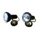 2 black spots